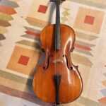 Violoncello 