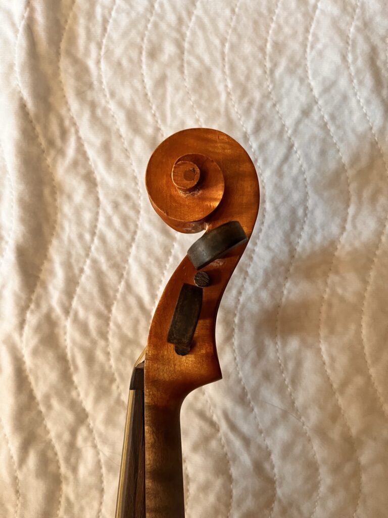 thumbnail of Violina Macovaz -3